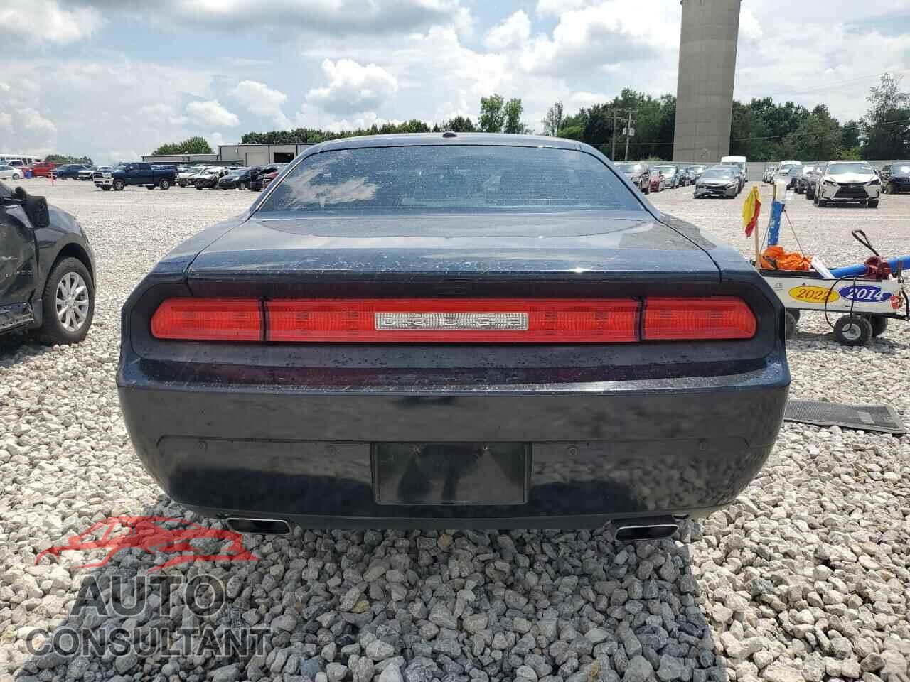 DODGE CHALLENGER 2013 - 2C3CDYAG2DH599811