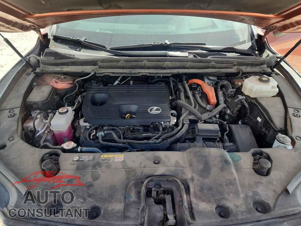 LEXUS UNKNOWN 2023 - 2T2BBMCA0PC013910