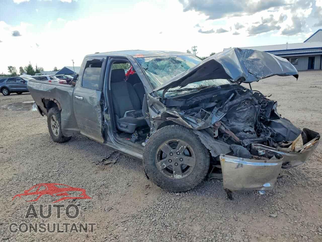 DODGE RAM 1500 2011 - 1D7RV1GP3BS693211