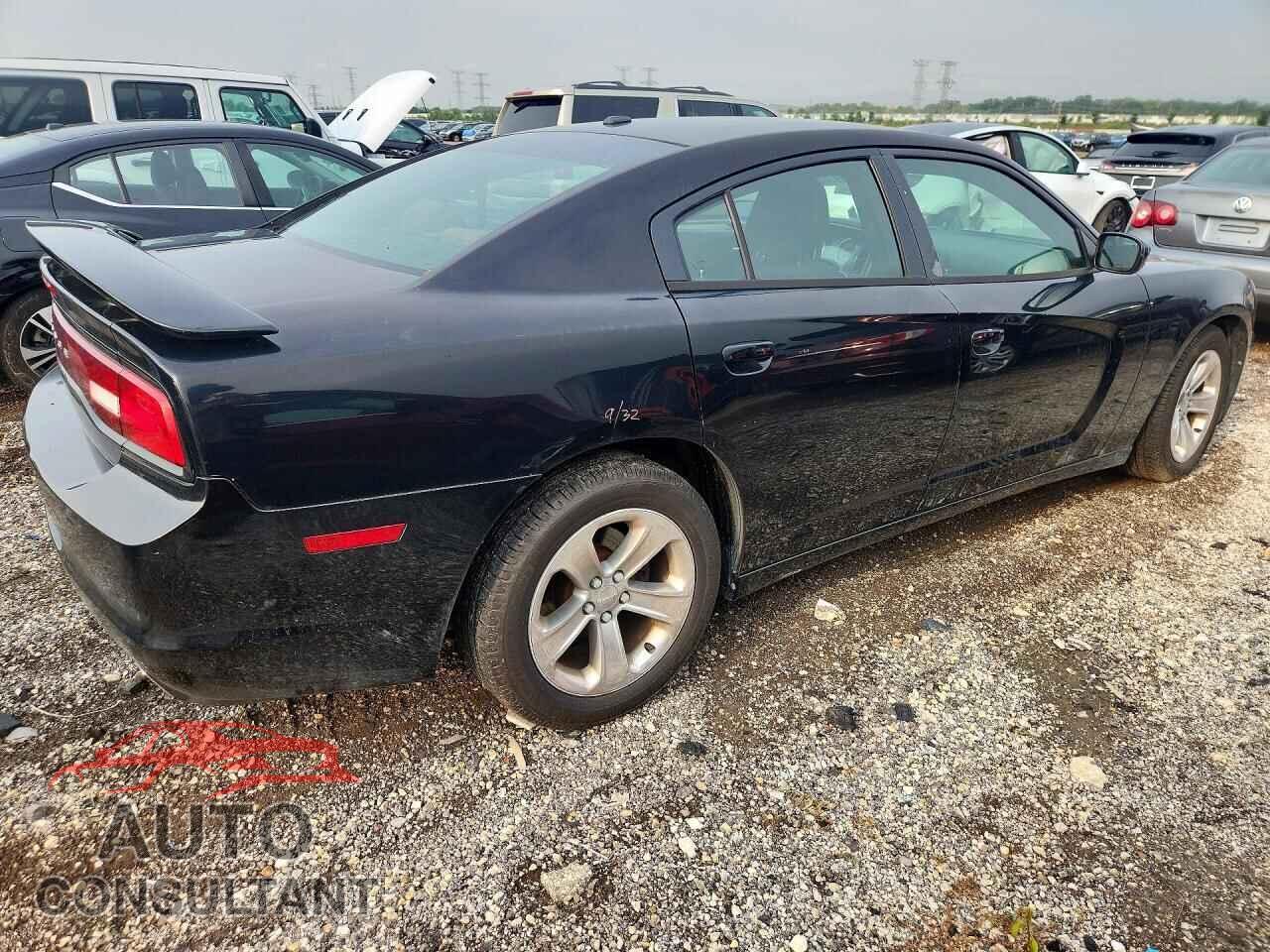 DODGE CHARGER 2013 - 2C3CDXHGXDH535421