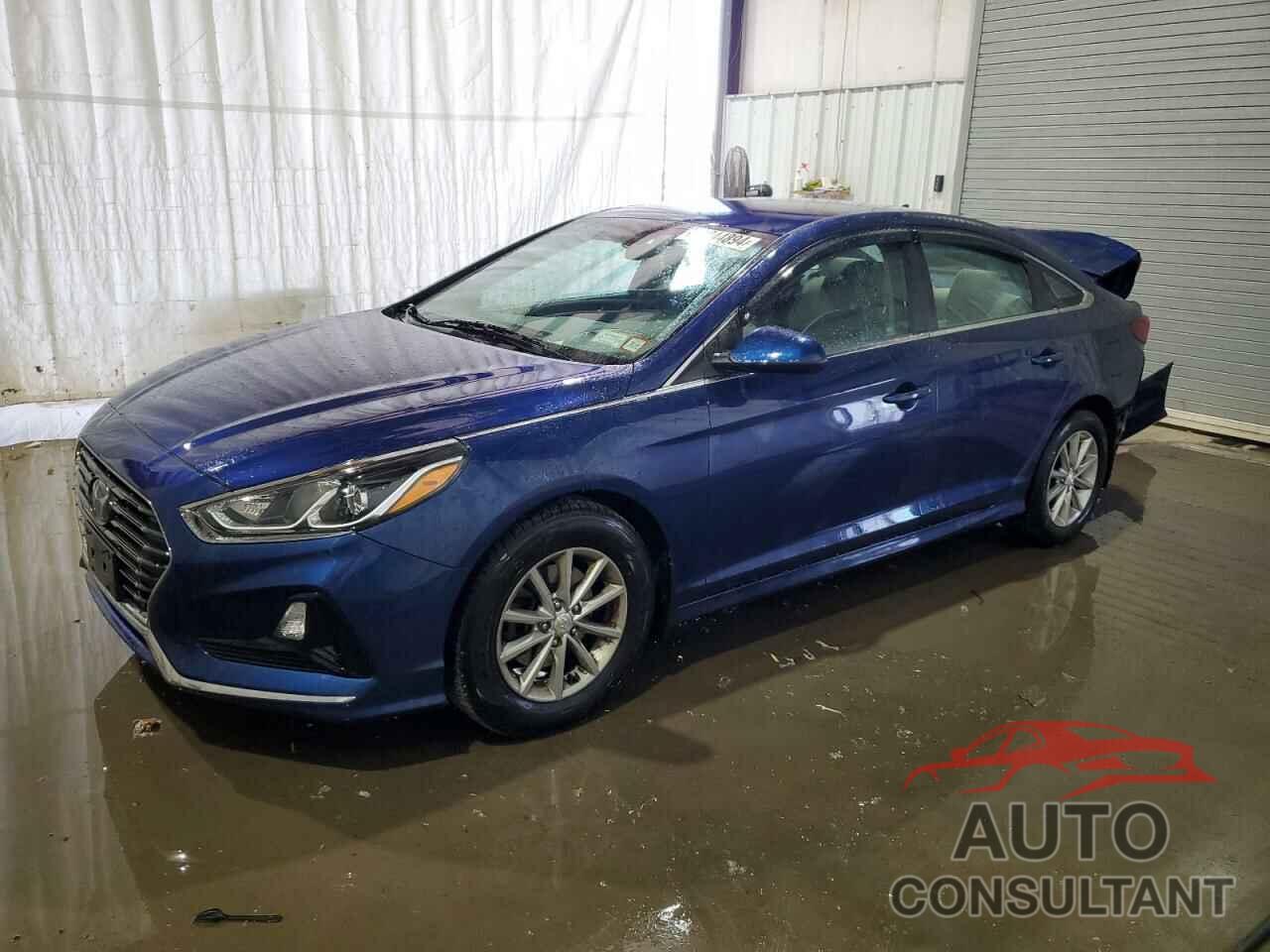 HYUNDAI SONATA 2019 - 5NPE24AF3KH796484