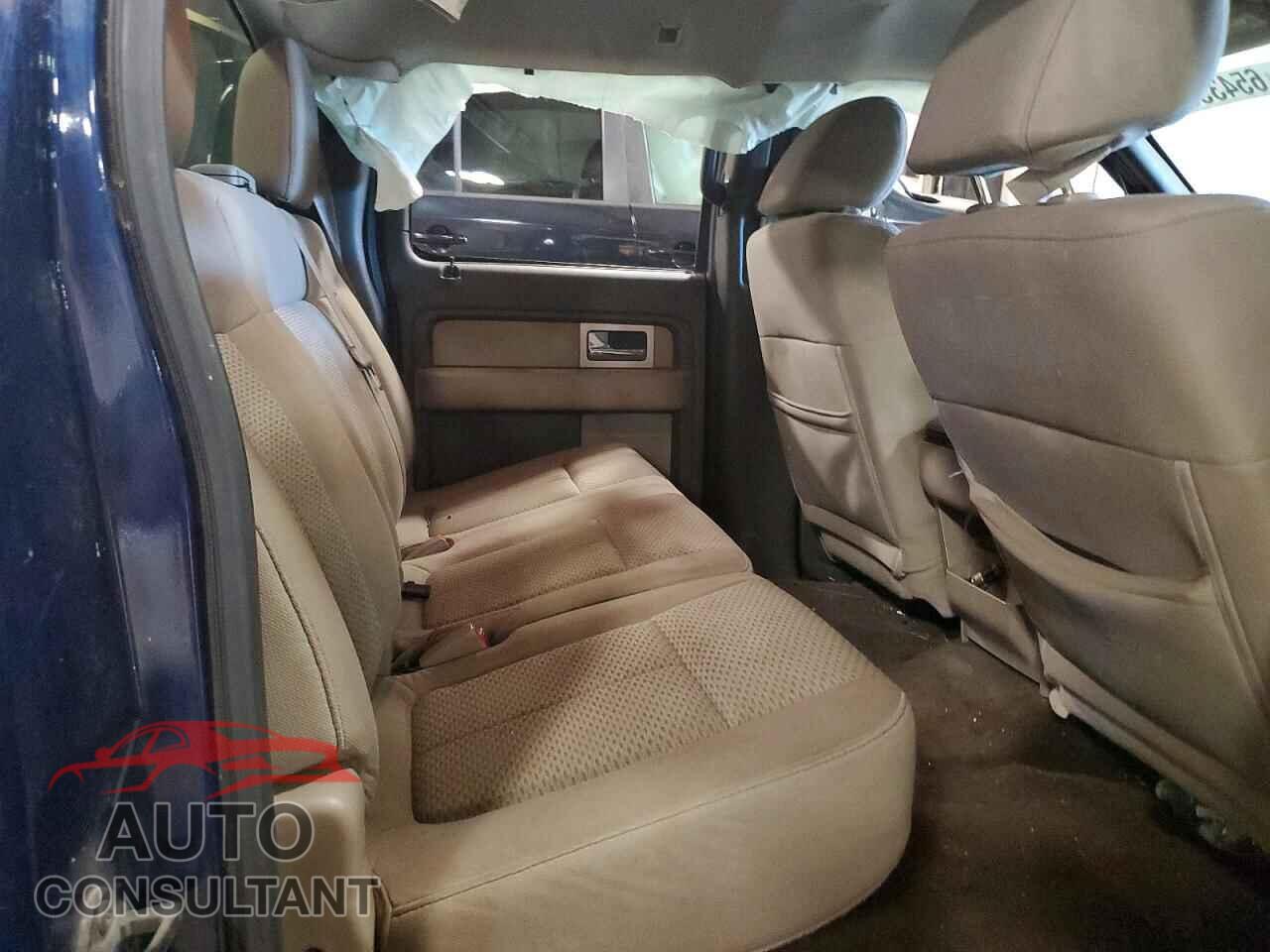 FORD F150 2010 - 1FTEW1E88AFB59114