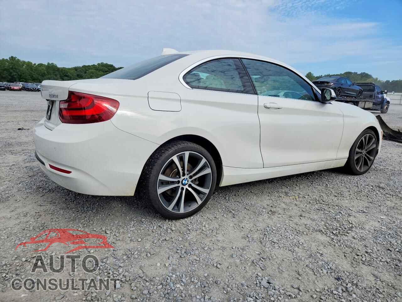 BMW 2 SERIES 2017 - WBA2F9C53HV664419