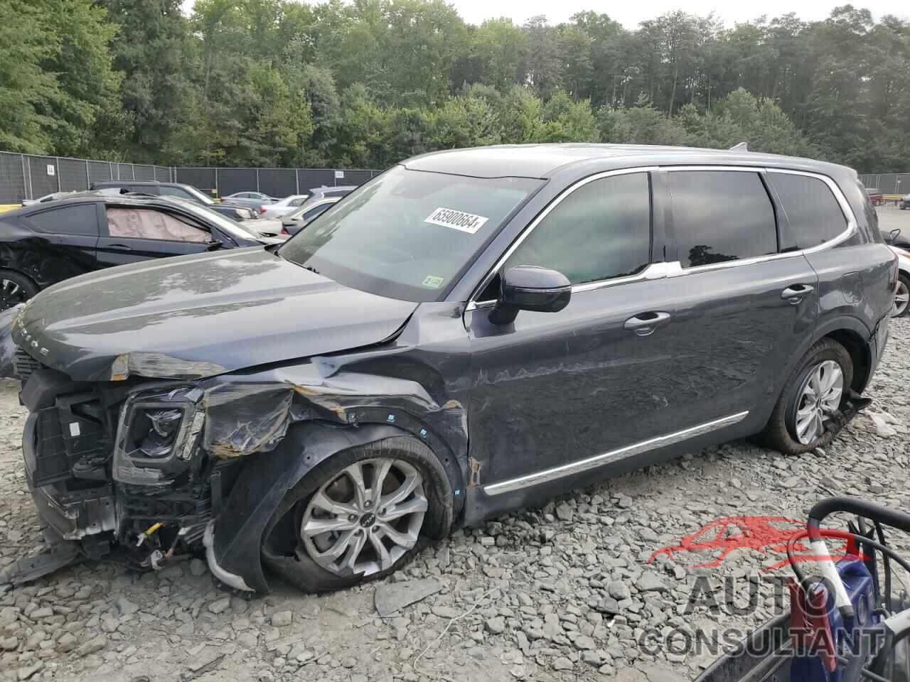 KIA TELLURIDE 2022 - 5XYP2DHC5NG237020