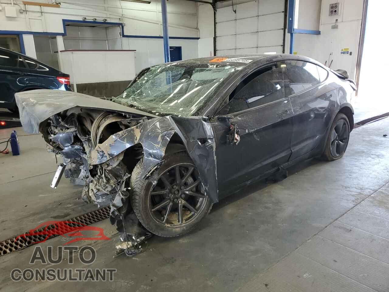 TESLA MODEL 3 2019 - 5YJ3E1EB8KF191847
