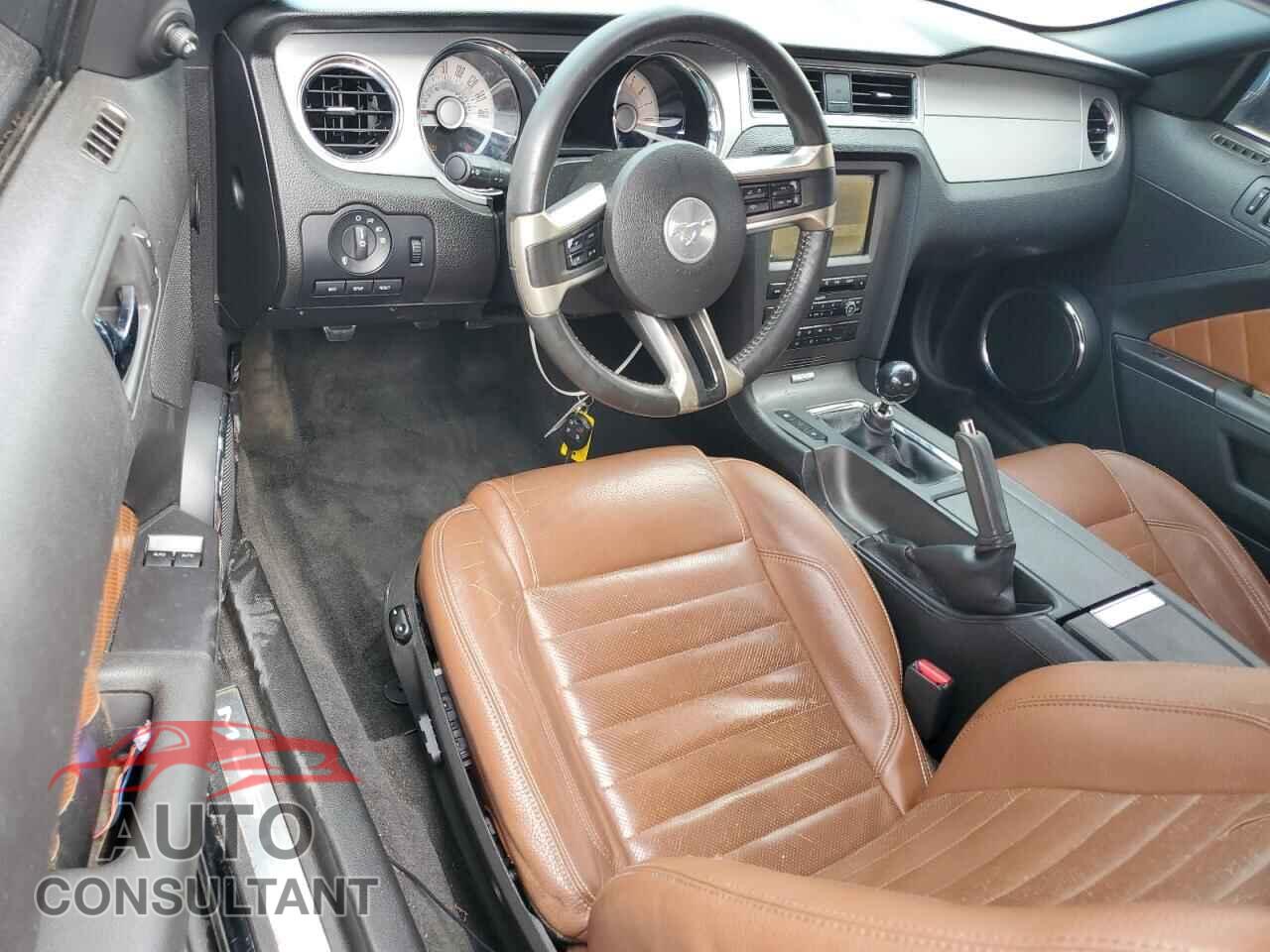 FORD MUSTANG 2011 - 1ZVBP8CF3B5108196
