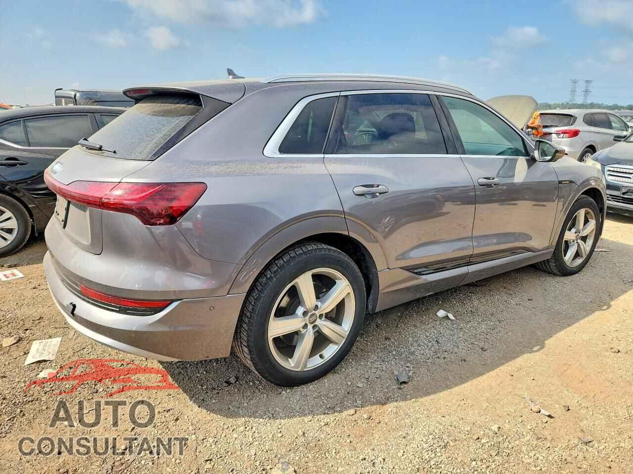 AUDI E-TRON 2019 - WA1LABGE2KB021683