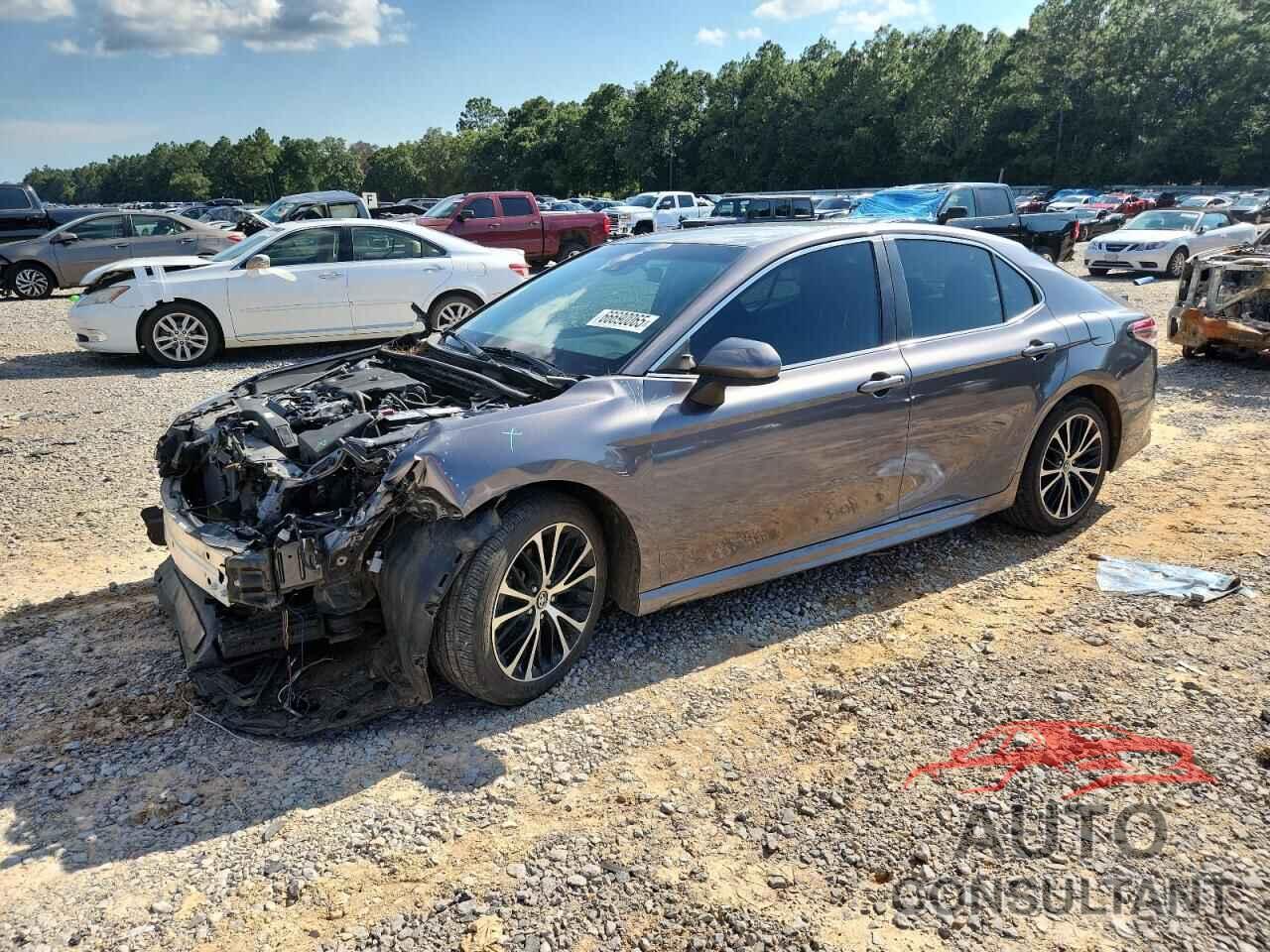 TOYOTA CAMRY 2019 - 4T1B11HK2KU736463