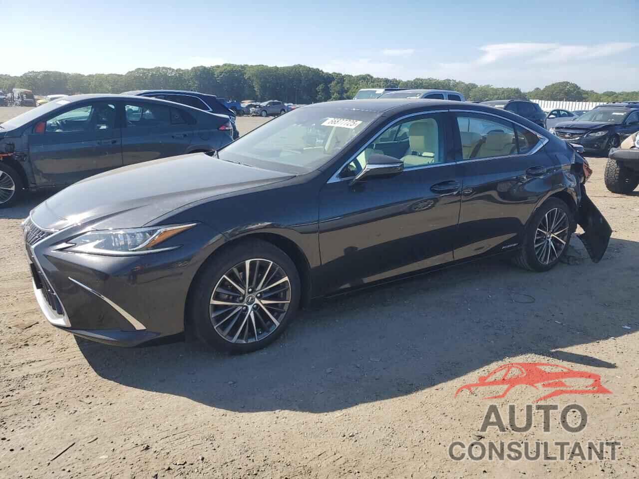 LEXUS ES300 2022 - 58ADA1C11NU016902