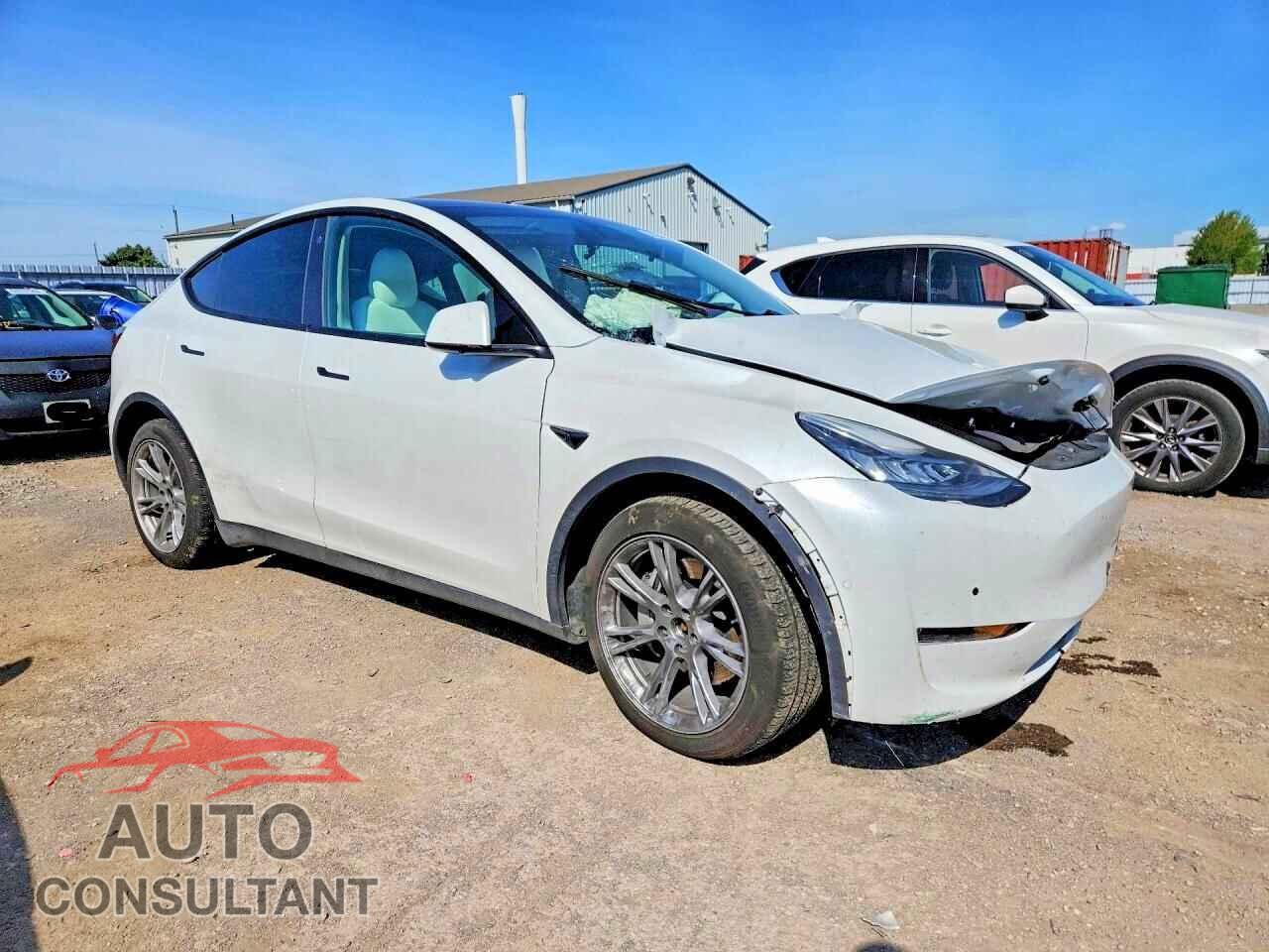 TESLA MODEL Y 2022 - 7SAYGDEEXNF439227