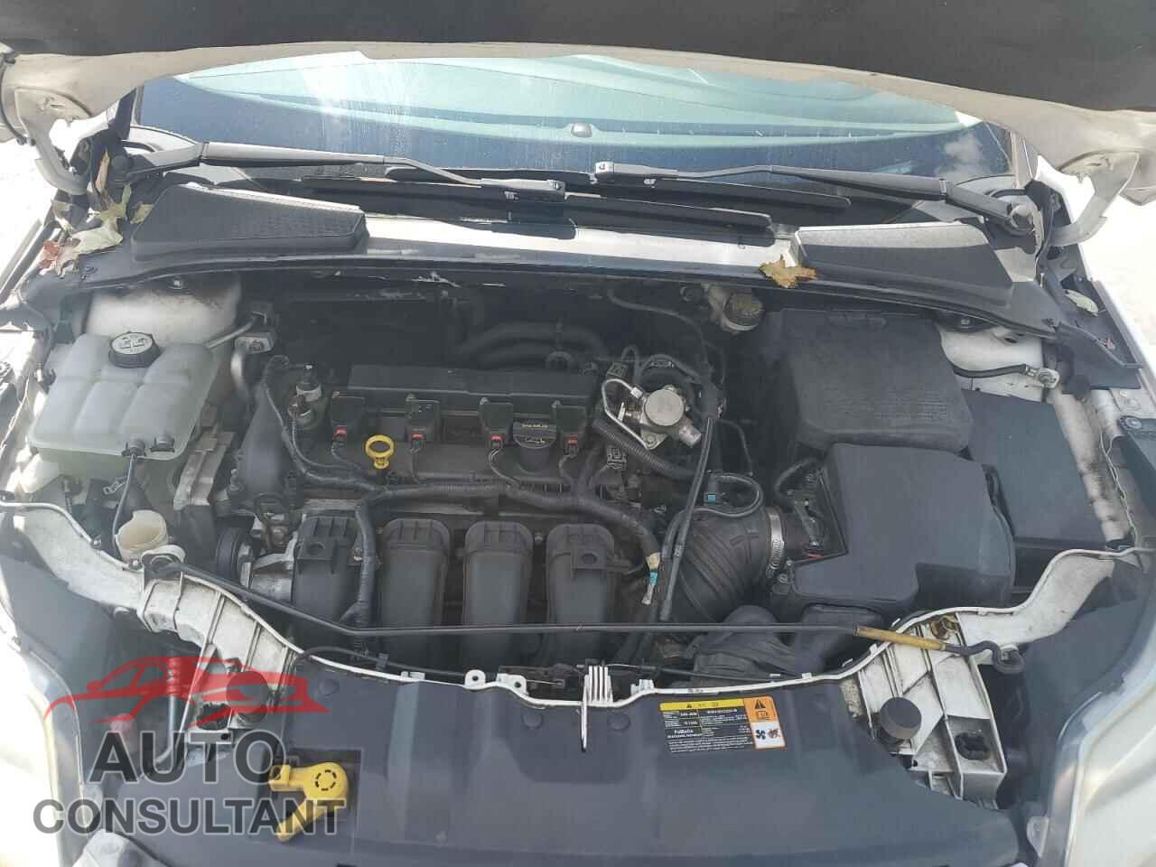 FORD FOCUS 2014 - 1FADP3F29EL127381