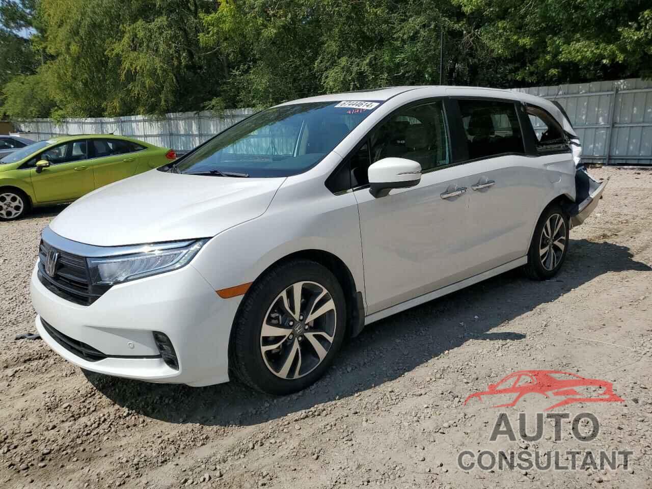 HONDA ODYSSEY 2024 - 5FNRL6H81RB045717