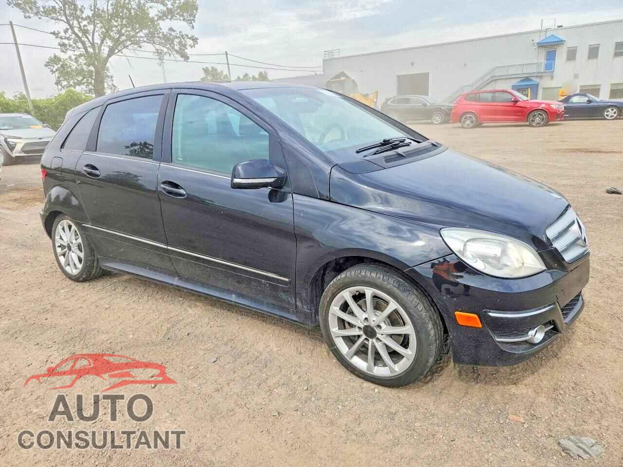 MERCEDES-BENZ B-CLASS 2010 - WDDFH3EBXAJ500814