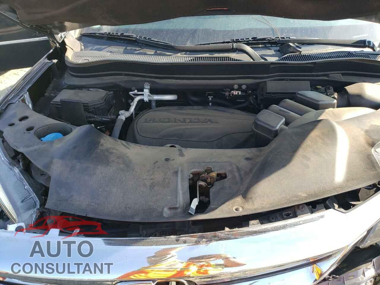 HONDA PILOT 2021 - 5FNYF5H54MB016840