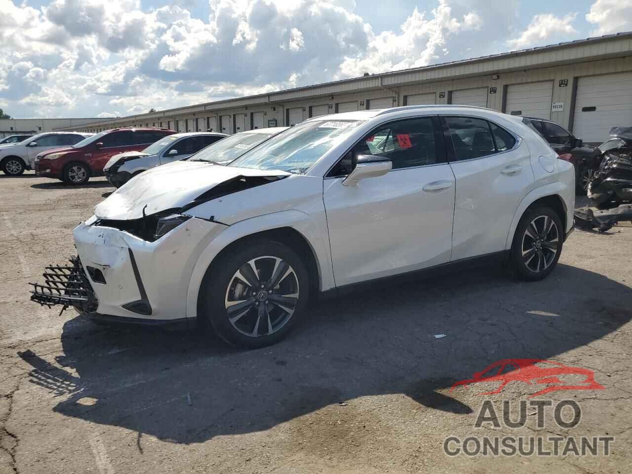LEXUS UX 250H PR 2024 - JTHP9JBH9R2078449