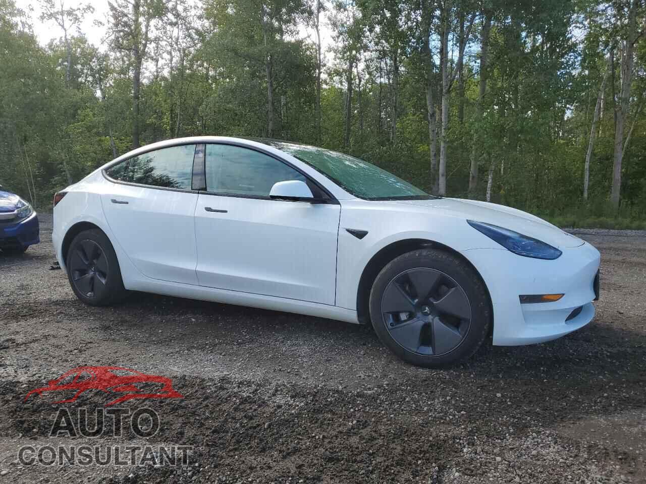 TESLA MODEL 3 2023 - LRW3E1FA8PC876230