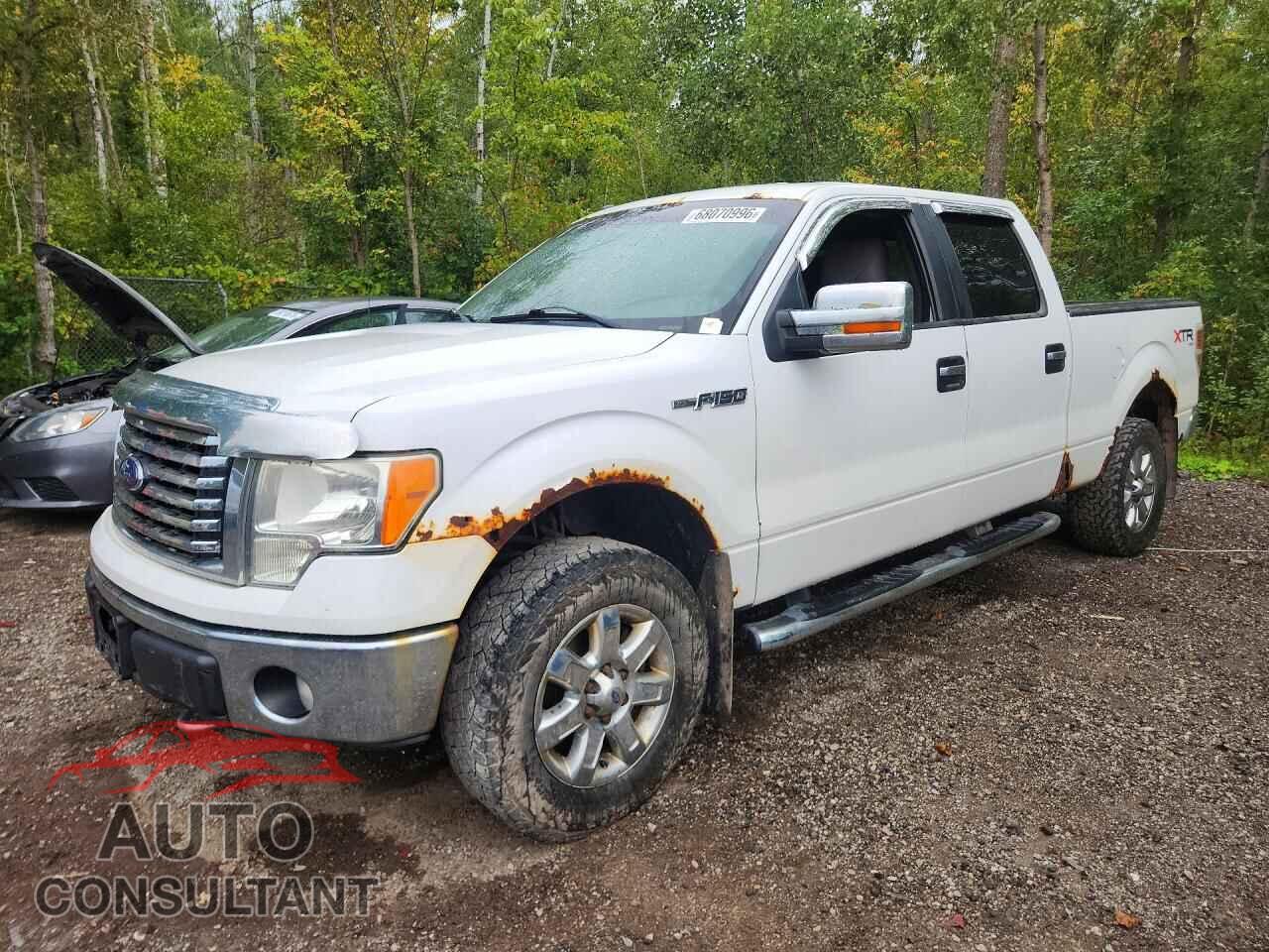 FORD F150 2013 - 1FTFW1EFXDFD59757