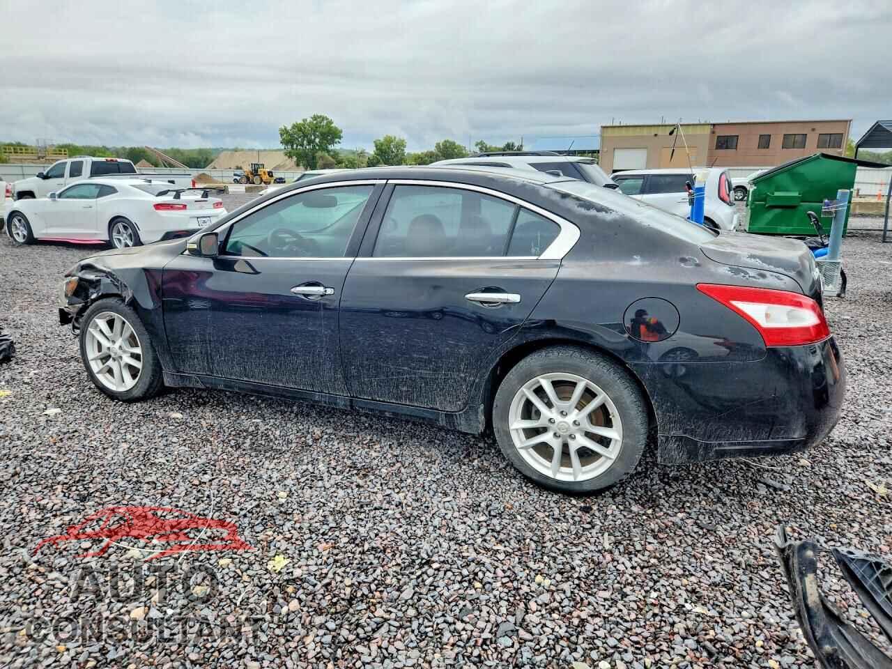 NISSAN MAXIMA 2009 - 1N4AA51E59C834307