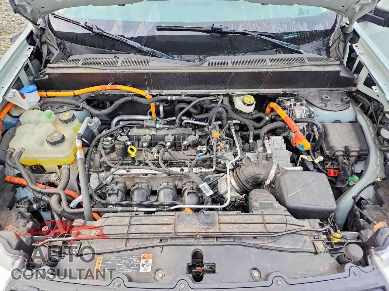 FORD MAVERICK 2022 - 3FTTW8E31NRA61782