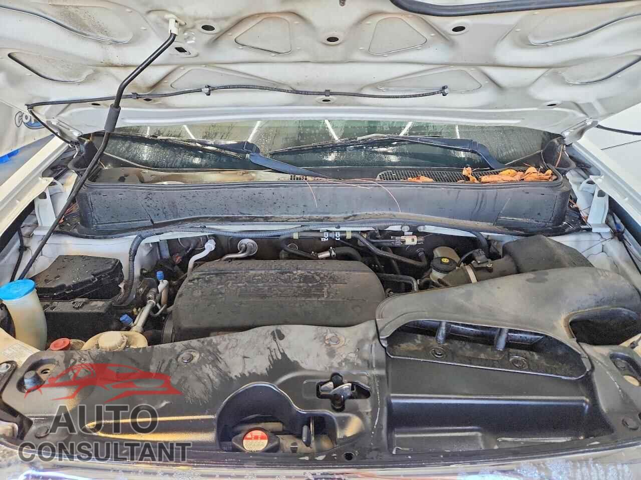 HONDA PILOT 2011 - 5FNYF3H56BB014962