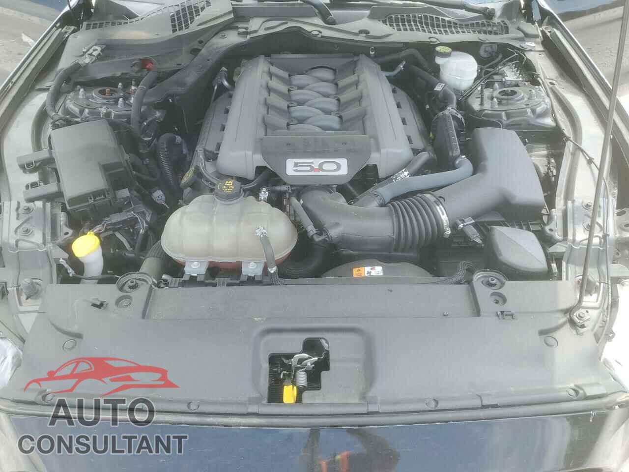 FORD MUSTANG 2017 - 1FA6P8CF1H5316645