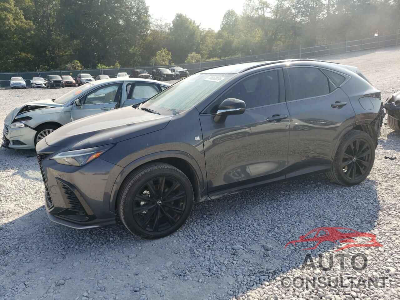 LEXUS NX 350 2023 - 2T2KGCEZ5PC028594