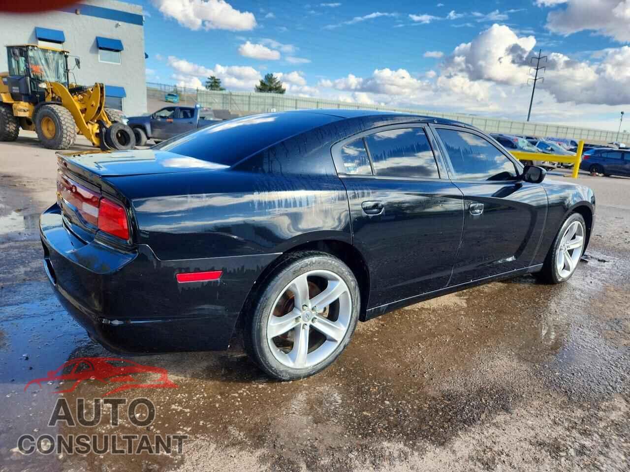 DODGE CHARGER 2014 - 2C3CDXAT1EH343684