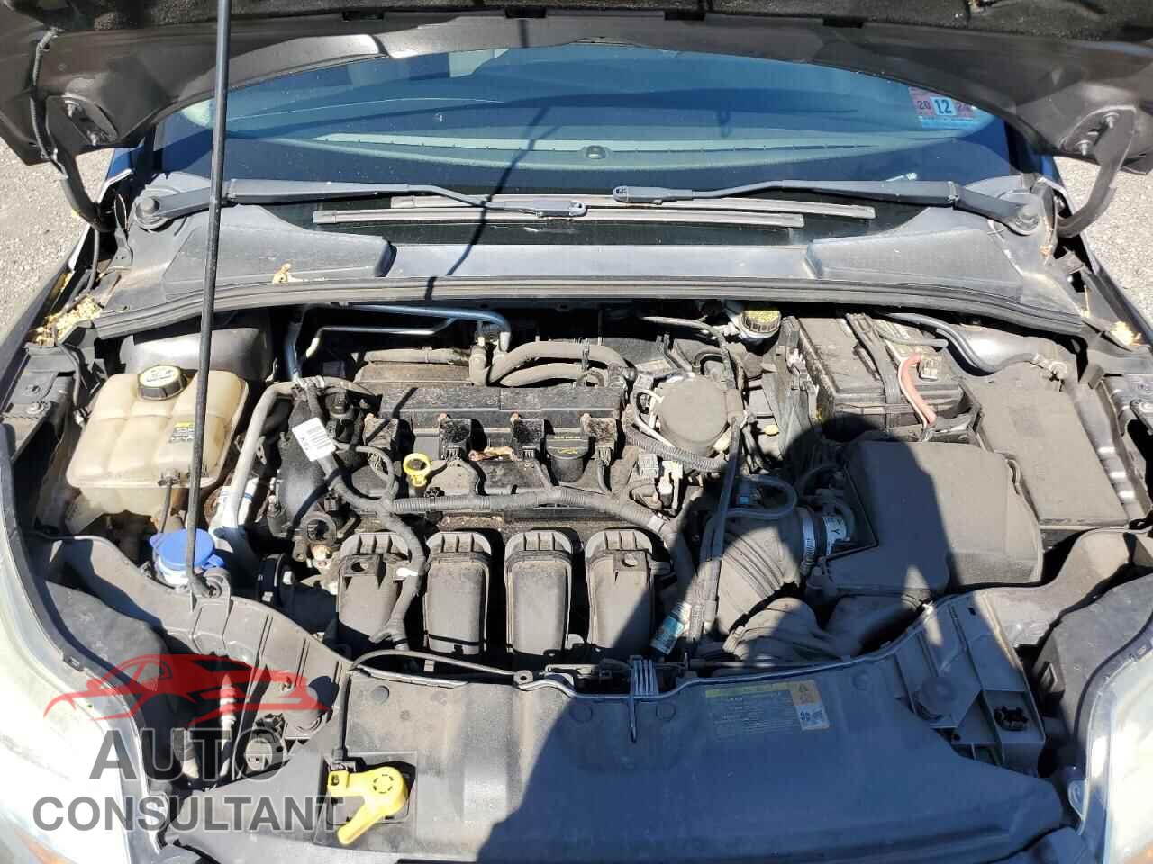 FORD FOCUS 2012 - 1FAHP3F24CL220808