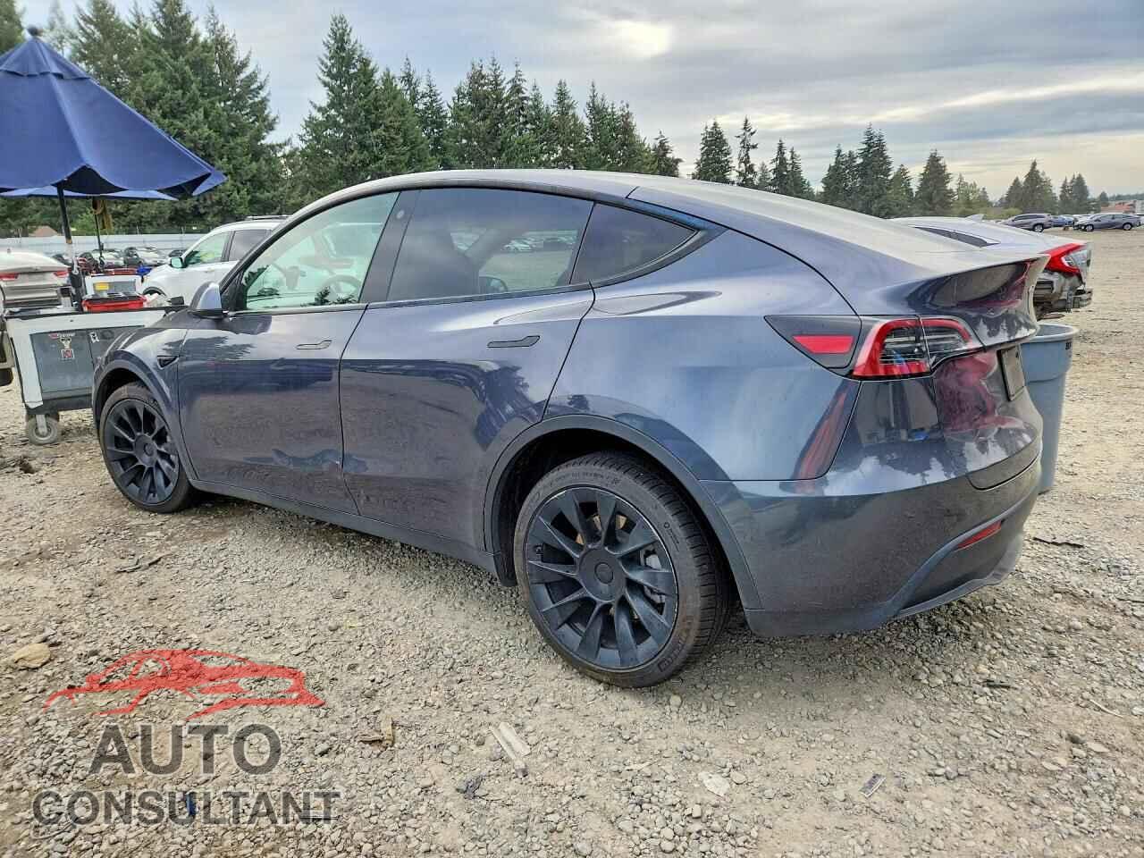 TESLA MODEL Y 2022 - 7SAYGDEEXNF386335