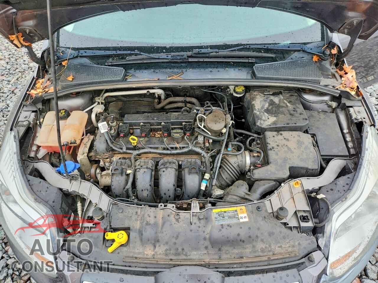 FORD FOCUS 2014 - 1FADP3K21EL271044