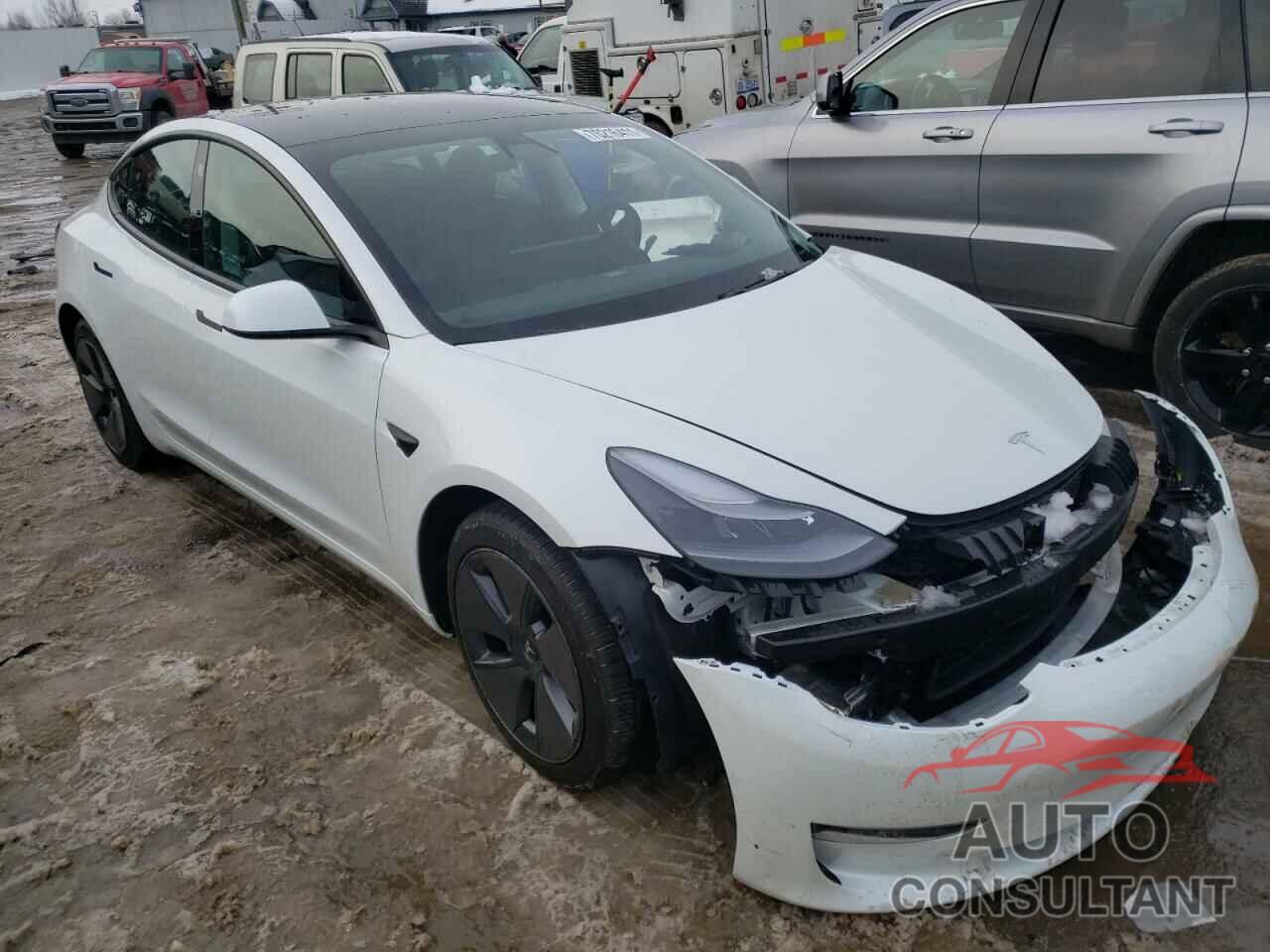 TESLA MODEL 3 2021 - 5YJ3E1EBXMF019564