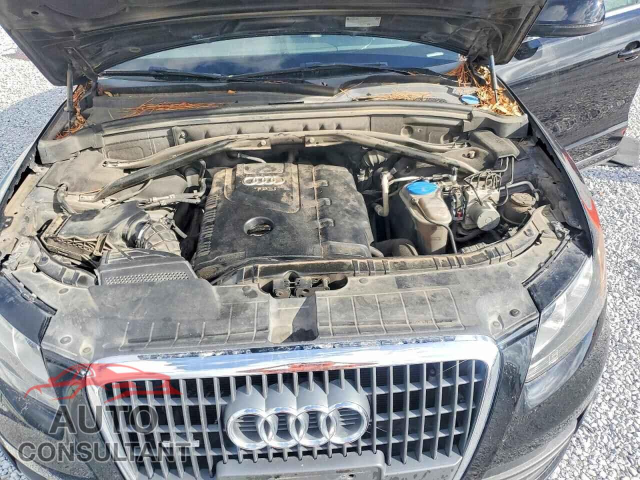 AUDI Q5 2011 - WA1CFAFP5BA073779