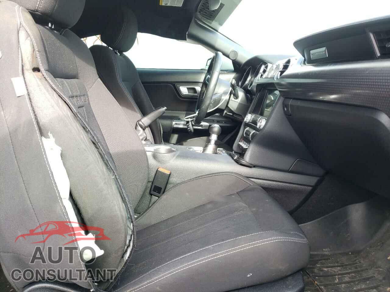 FORD MUSTANG 2019 - 1FA6P8CF8K5109127