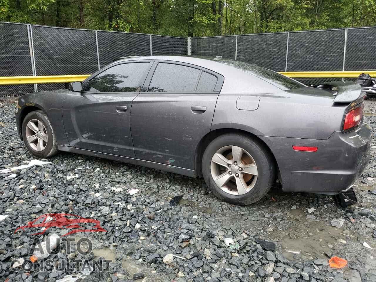 DODGE CHARGER 2014 - 2C3CDXBG9EH199433