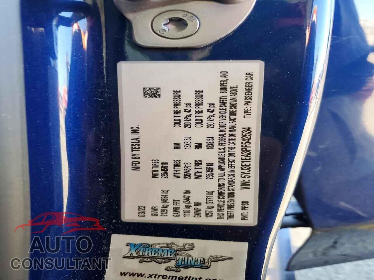TESLA MODEL 3 2023 - 5YJ3E1EA3PF542534