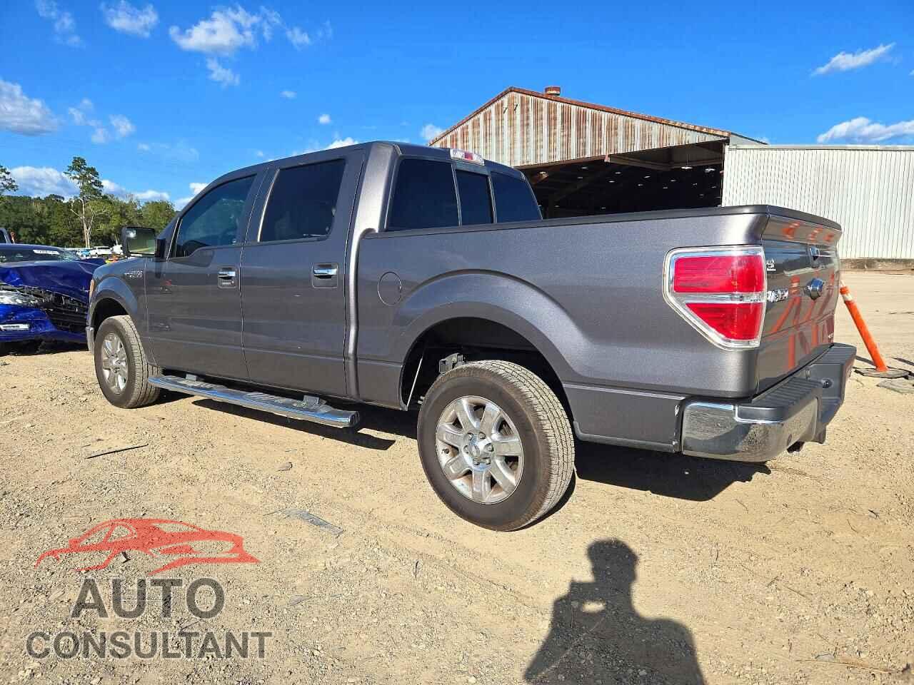 FORD F150 2013 - 1FTFW1CFXDFA71871