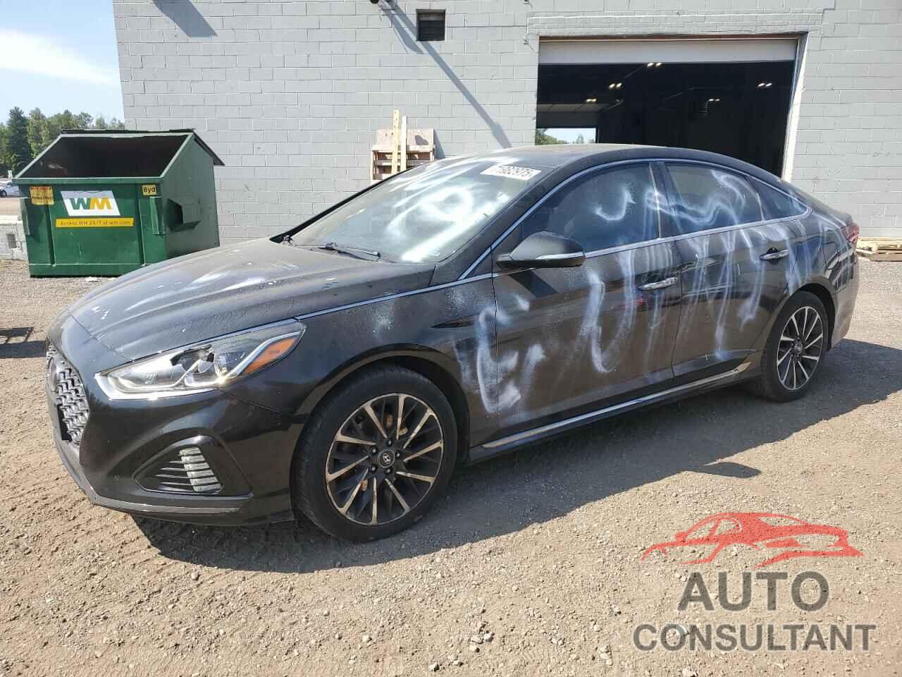 HYUNDAI SONATA 2019 - 5NPE34AF8KH785574