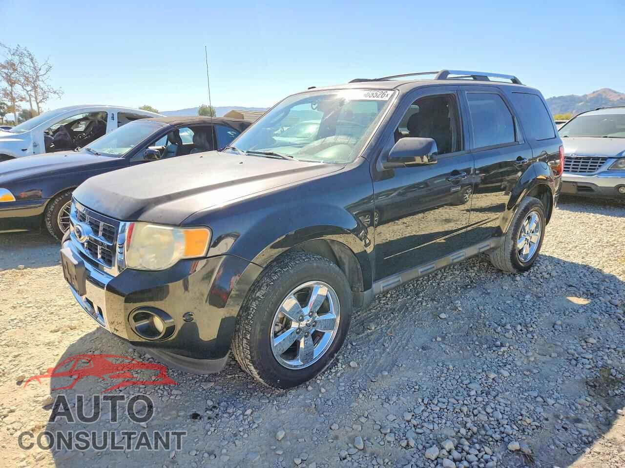 FORD ESCAPE 2011 - 1FMCU0EG8BKA27988