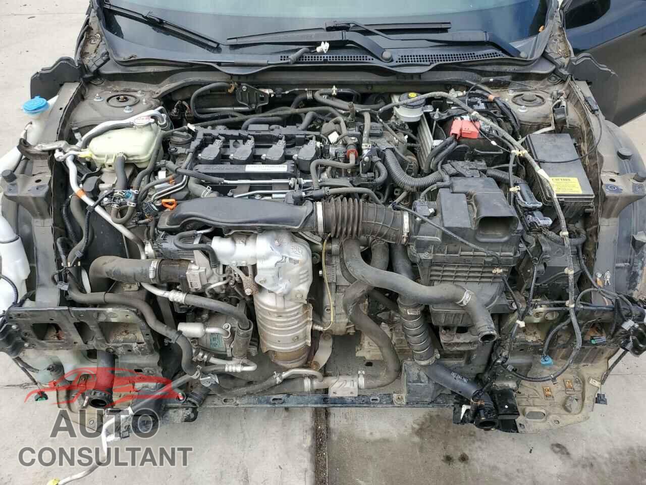 HONDA CIVIC 2017 - 2HGFC3B79HH360115