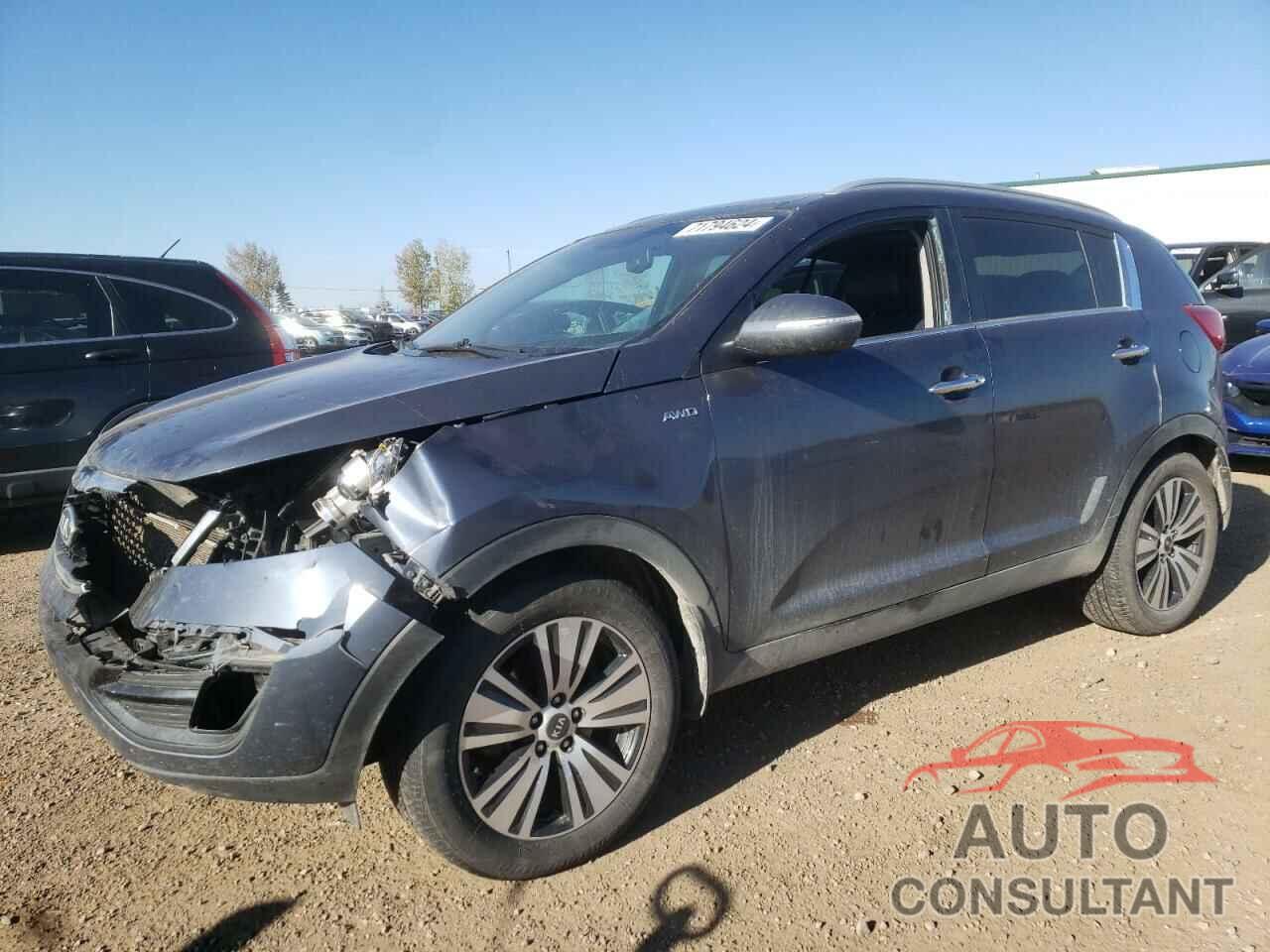 KIA SPORTAGE 2016 - KNDPCCAC8G7805973