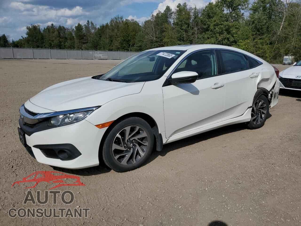 HONDA CIVIC 2016 - 2HGFC2F84GH013996