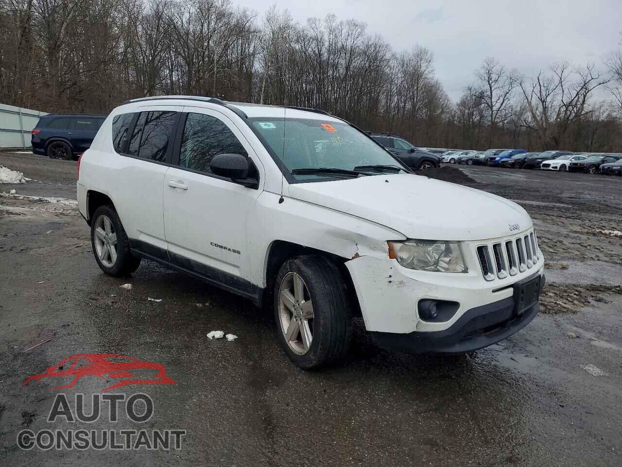JEEP COMPASS 2011 - 1J4NF5FB1BD169508