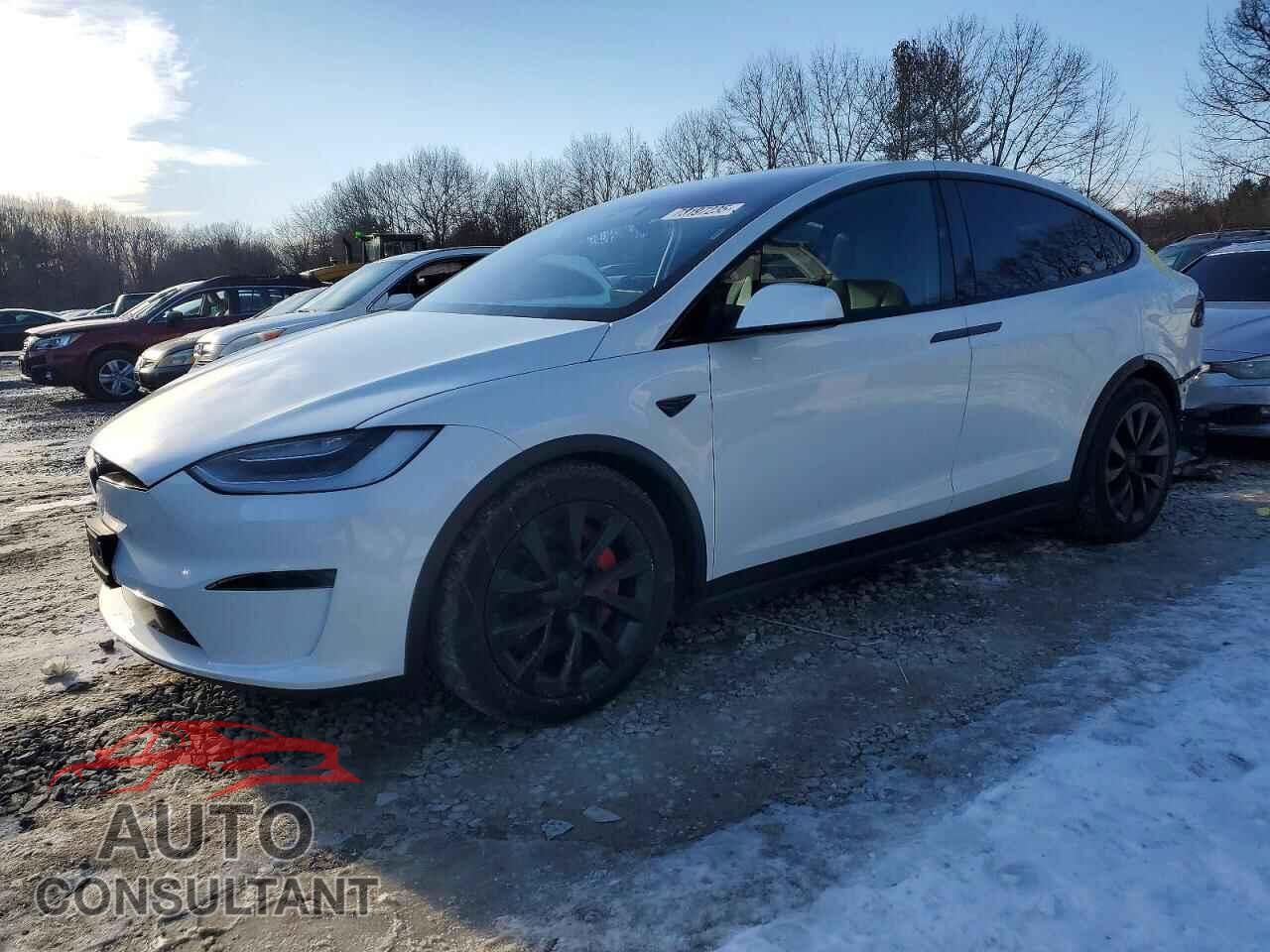 TESLA MODEL X 2023 - 7SAXCBE65PF389862