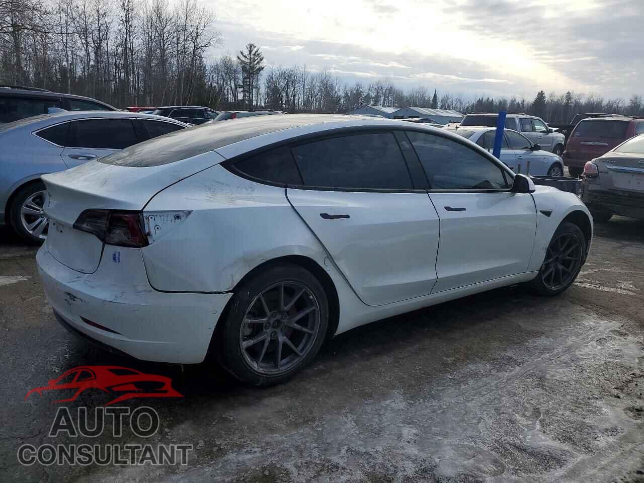 TESLA MODEL 3 2021 - 5YJ3E1EA7MF852309