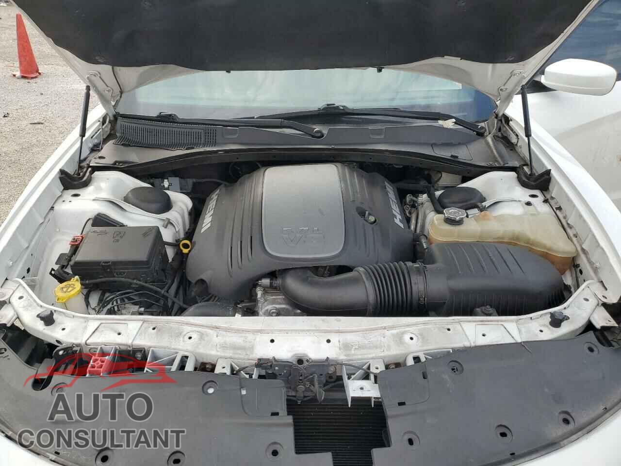 DODGE CHARGER 2019 - 2C3CDXCTXKH749343