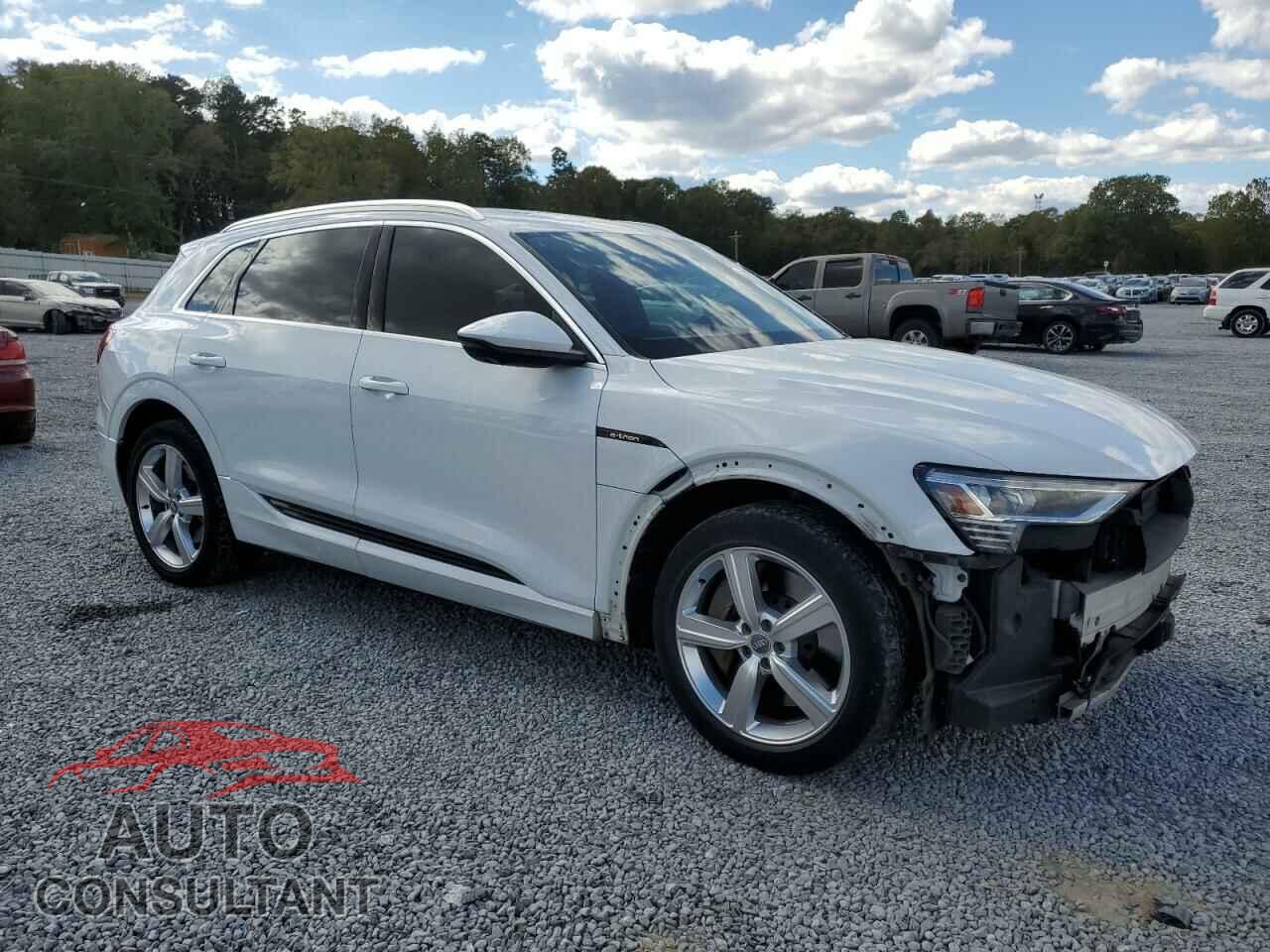 AUDI E-TRON 2019 - WA1LAAGE7KB017610