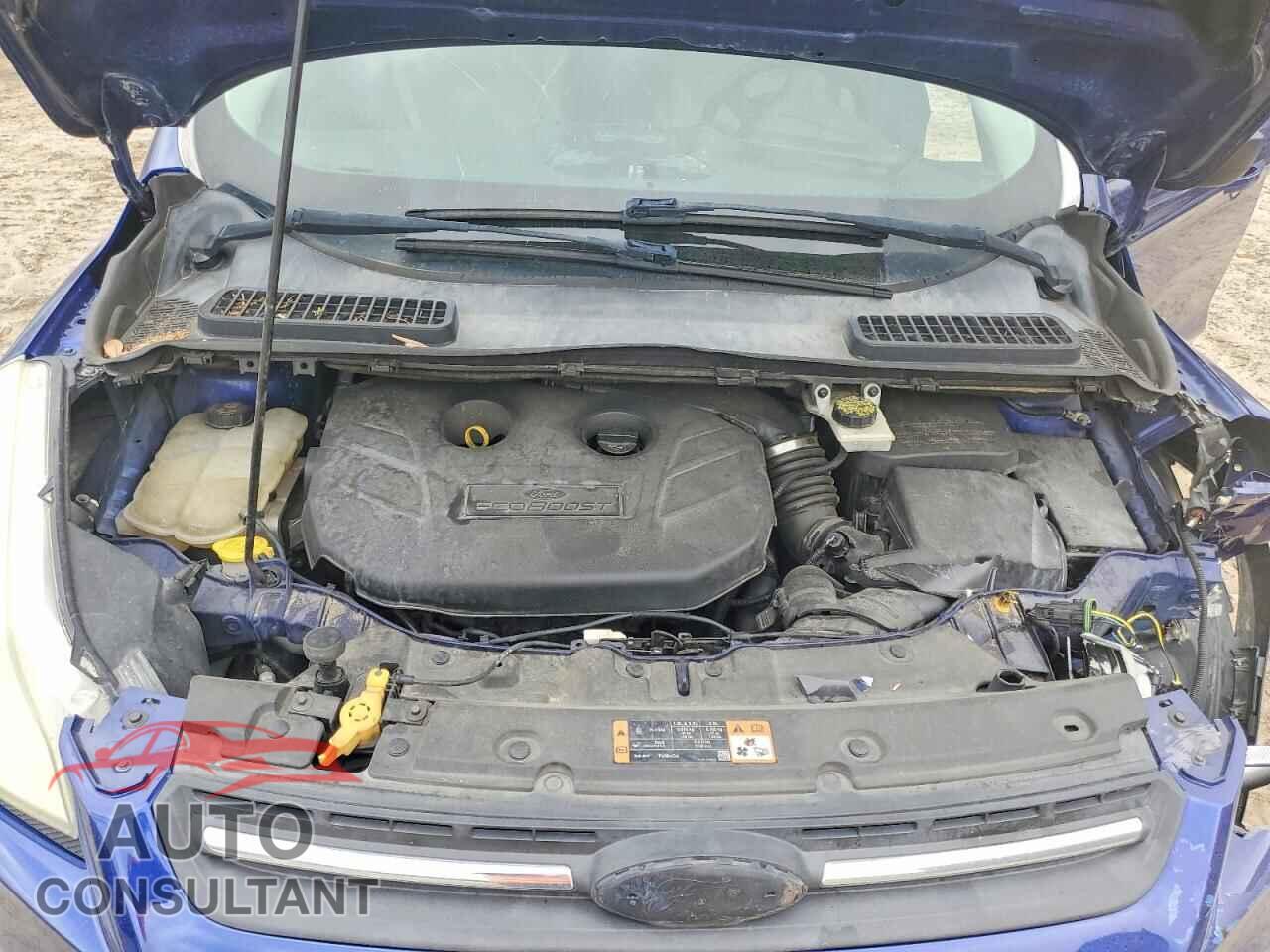 FORD ESCAPE 2014 - 1FMCU0G95EUC49556
