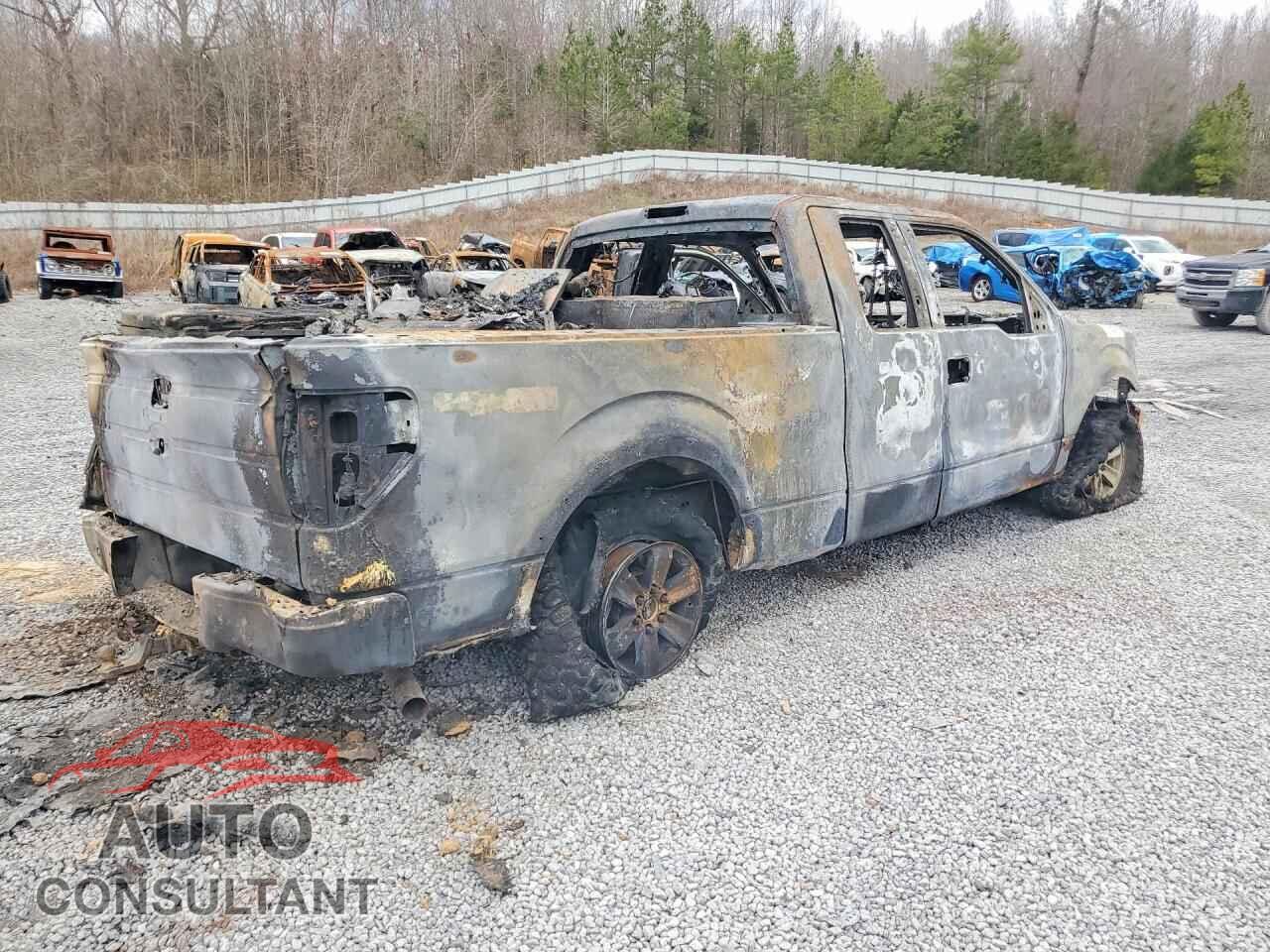 FORD F-150 2013 - 1FTFX1EF5DFA65308