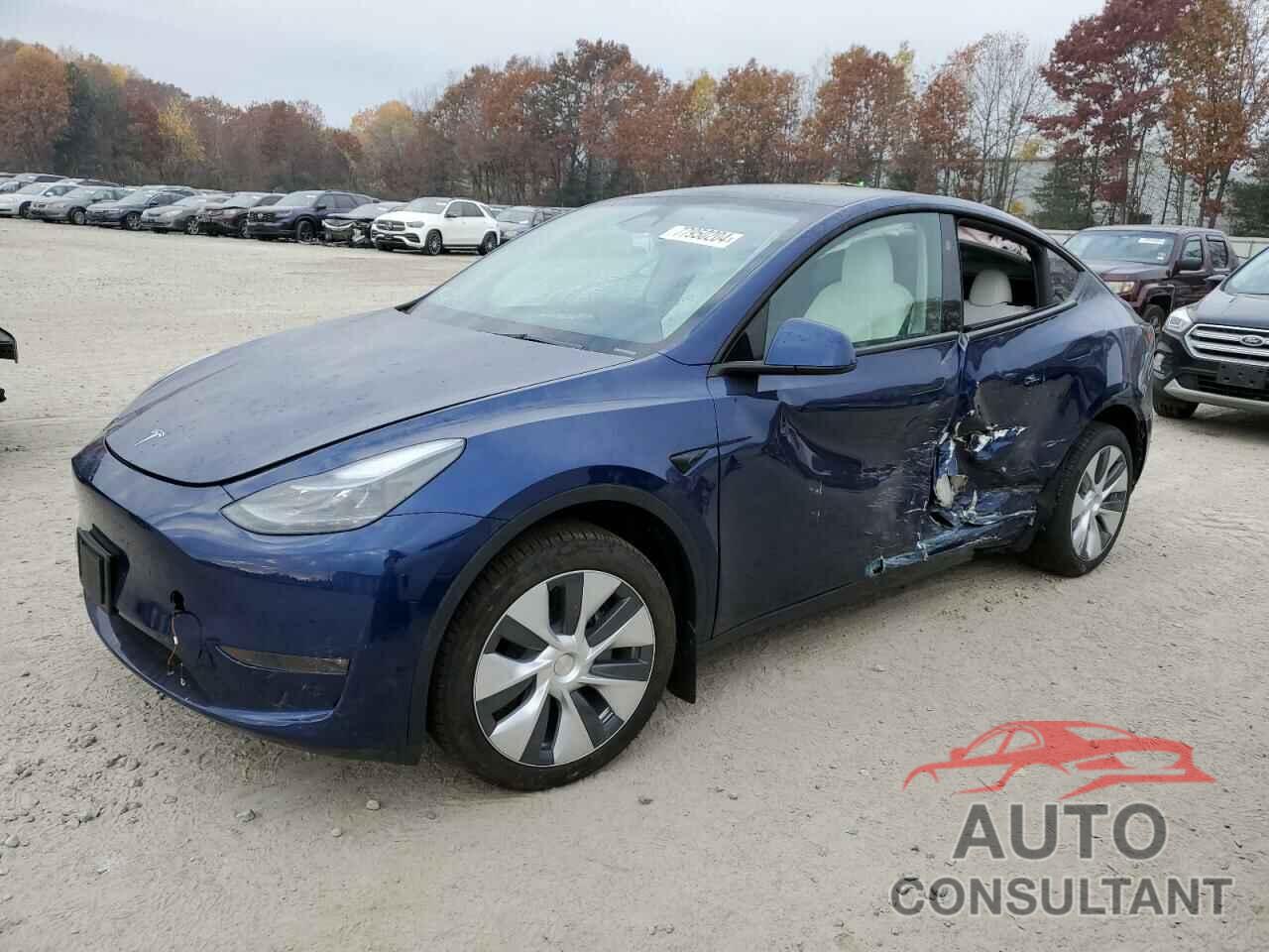 TESLA MODEL Y 2024 - 7SAYGDEE4RA266078