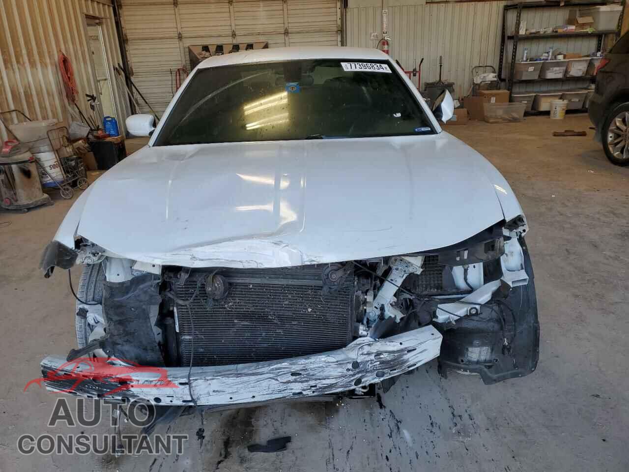 DODGE CHARGER 2019 - 2C3CDXBG0KH644377